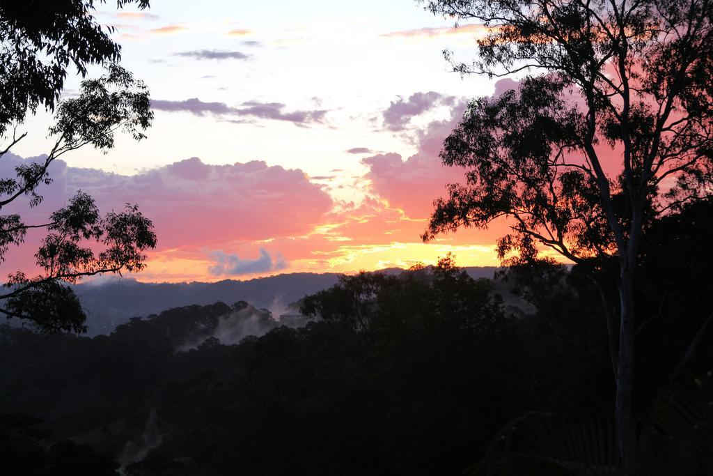 Phoenix Eumundi Bagian luar foto