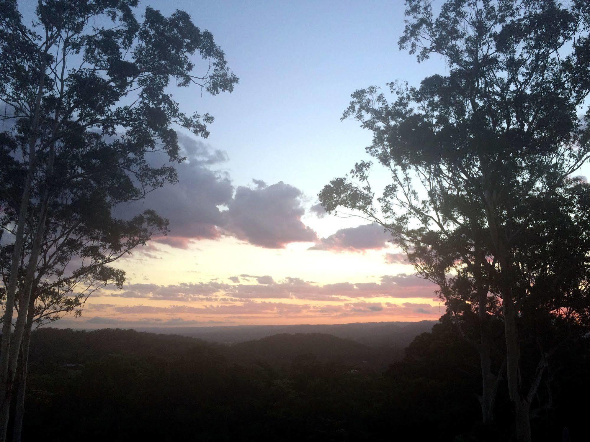 Phoenix Eumundi Bagian luar foto