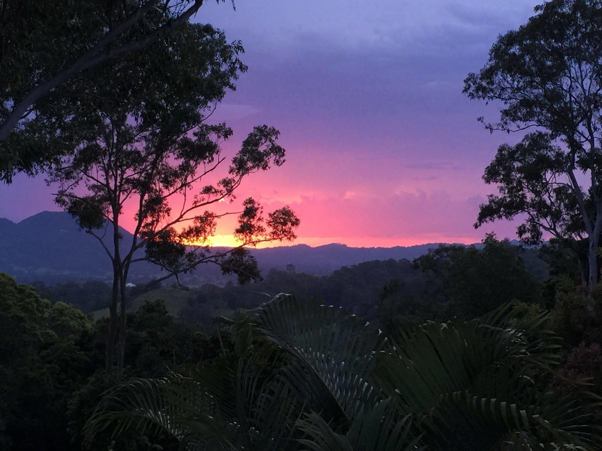 Phoenix Eumundi Bagian luar foto